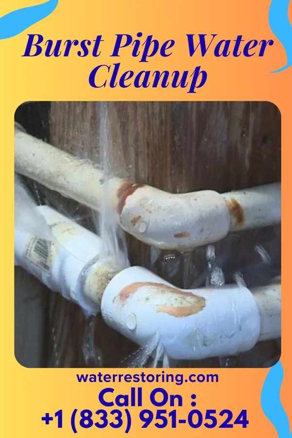 Burst Pipe Water Cleanup in Duluth, GA