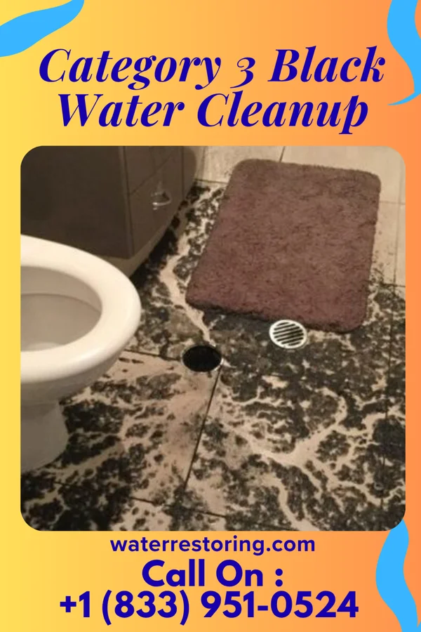 Category 3 Black Water Cleanup in Duluth, GA